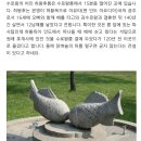 수복빌 이미지