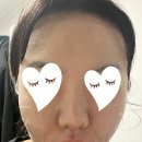 담플레닝 네이버블로그