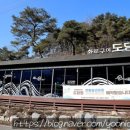 화로구이 곰탕 막국수 줄서서 먹는 단양맛집 도담원 후기