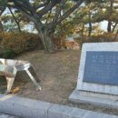 제화목장 네이버블로그