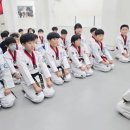 남도 태권도장 네이버블로그