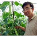 선인농장 이미지