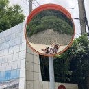 태하 모노레일 이미지