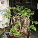 유림약국 이미지