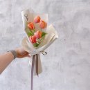 럭스플로스 이미지