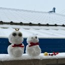 🌨️흰 눈이 기쁨되는 날🌨️ 이미지