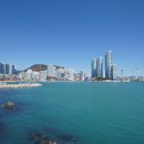 송도해수욕장 Daum카페