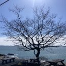 다도해해상민박 이미지