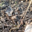 해도농장 이미지