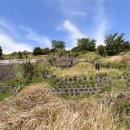 김녕환승정류장 이미지