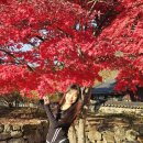 서울댄스스포츠학원 이미지