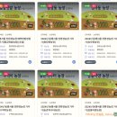 관청농장 이미지