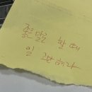 코히 이미지