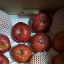 병규농장 이미지