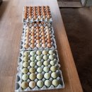 청정2농장 이미지