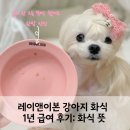 레이앤이본 강아지 화식 1년 급여 후기: 화식 뜻