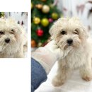 세영케미칼 이미지