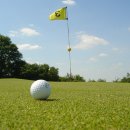 (주)펠리컨디자인 이미지