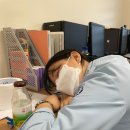 맘모스노래연습장 이미지