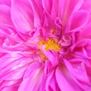 연암축산 이미지