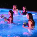 소노펠리체 델피노 이미지