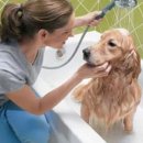 멍shower(멍샤워) 이미지