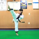 화랑 합기도 무무관 이미지