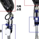 두발로걷자 이미지