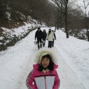 남이자연휴양림 이미지