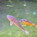 임고보건지소 이미지