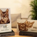 캣플래닛 이미지