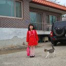 이천 매곡초등학교 병설유치원 입학식날 축하합니다.2012년3월2일 이미지