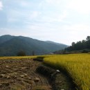 고향풍년 이미지