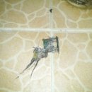 대동보건지소 이미지