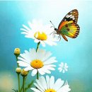 Dire Straits - Walk Of Life 이미지