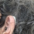 상의경로당 | 전주벨톤보청기, 🎧 벨톤 인비전 80대 여성 착용 후기