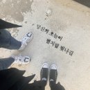 [태안 펜션 추천] 안면도 일마레펜션 1박 2일 후기_행복 2호 오션뷰, 개별바베큐까지 :)