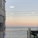 극동(아) | 부산 기장 아나고 회 맛집 극동횟집 내돈내산 후기