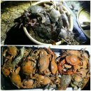 선녀바위로 이미지