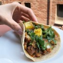 마돈나레스카페 | 강렬한 태양과 화려한 아즈텍의 향연, 타코 신상 맛집 BEST 5