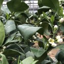 칠전동길4 이미지