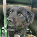 덕고개로 이미지