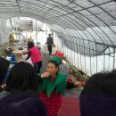 경석농장 이미지