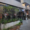 건맥시대 이미지