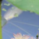 주천초등학교 이미지