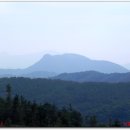 버스정류장 06-338 이미지