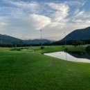 동강시스타 이미지