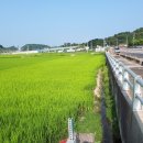 광양읍 세풍초등학교 이미지