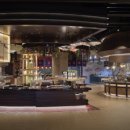 셰프스키친 이미지