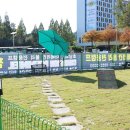 챔피언켄넬 이미지